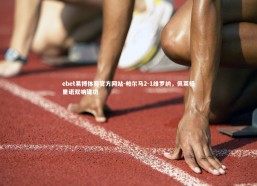 ebet易博体育官方网站-帕尔马2-1维罗纳，佩莱格里诺双响建功