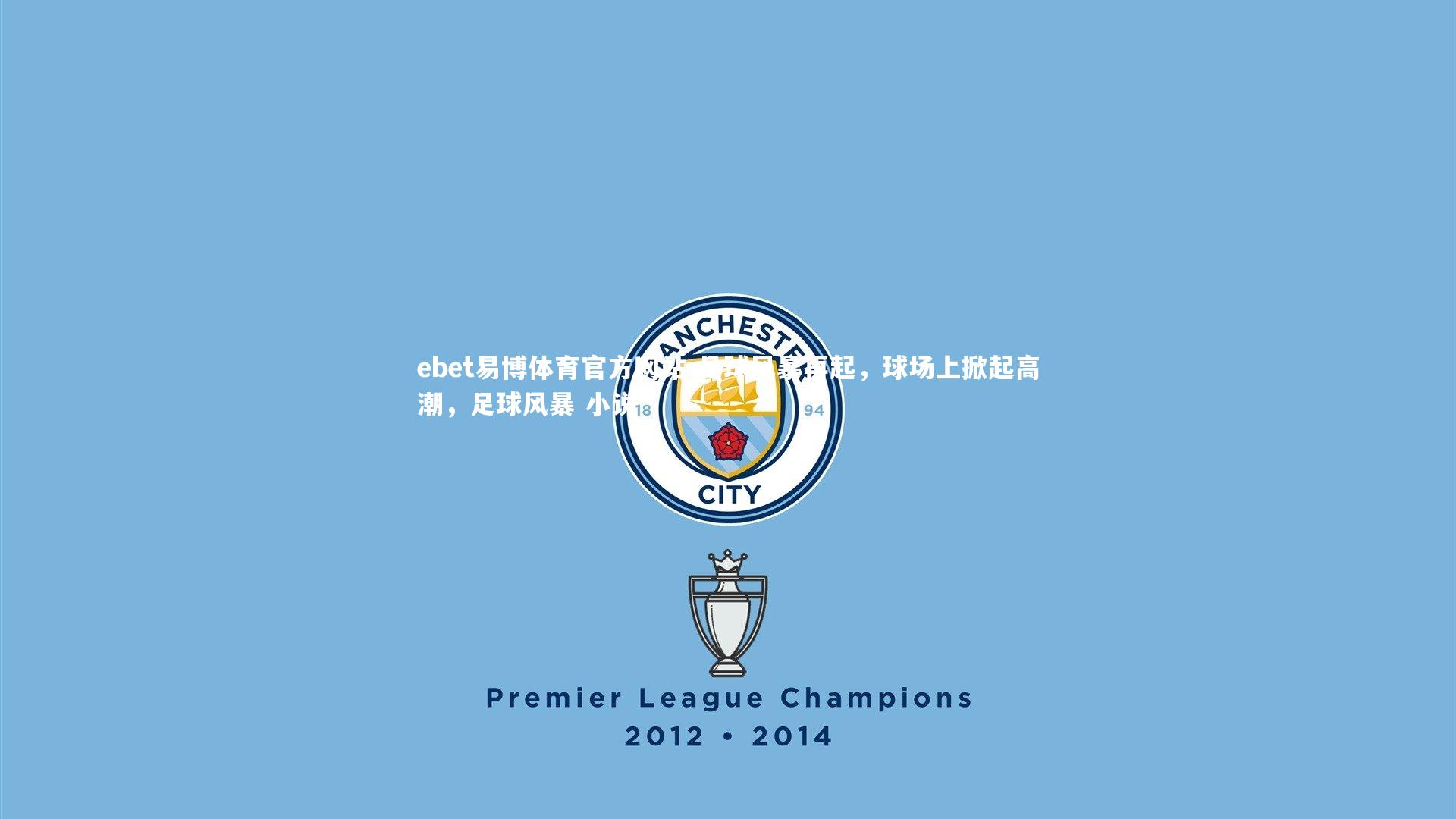 足球风暴再起,球场上掀起高潮,足球风暴 小说