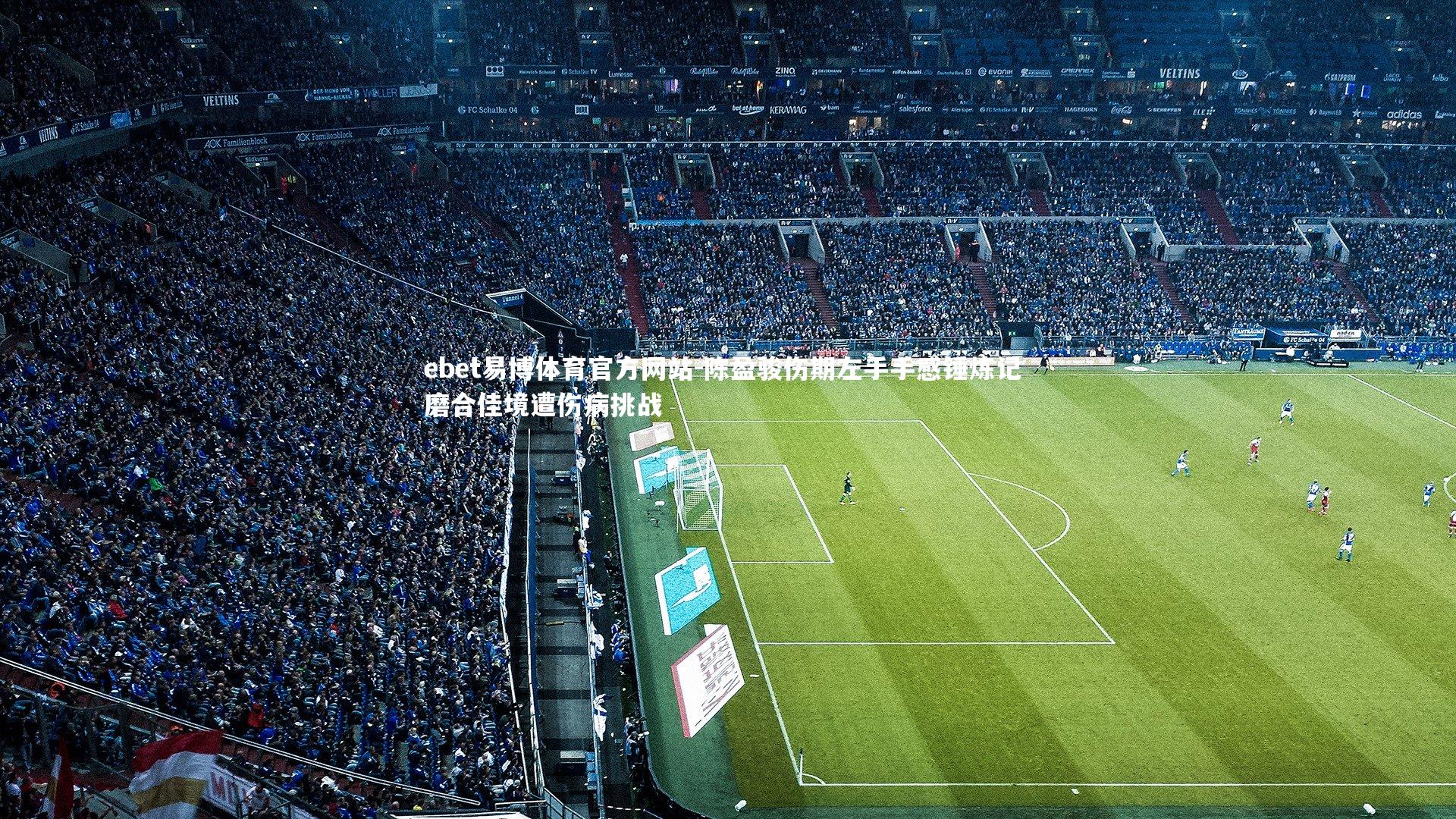 陈盈骏伤期左手手感锤炼记 磨合佳境遭伤病挑战